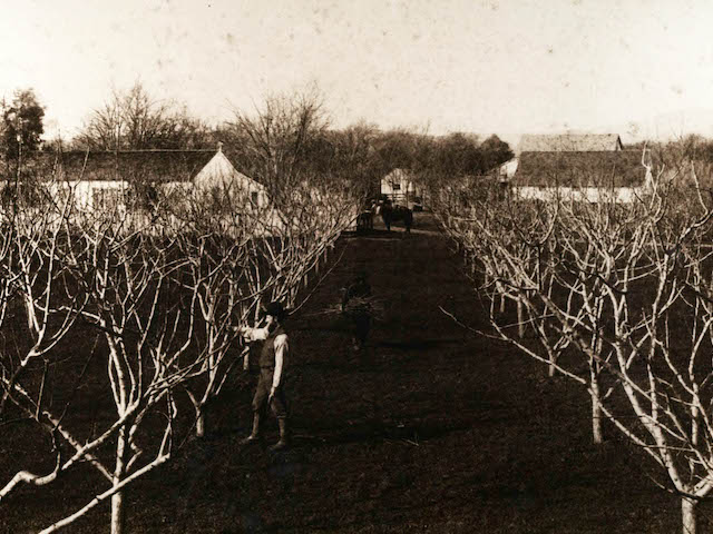 Kiser Ranch photo